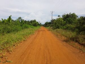 Imagem da notícia - Governo do Amazonas irá recuperar o Ramal do Pavão, no município de Tefé