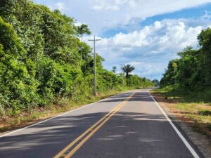 Imagem da notícia - Pavimentação de ramais, estradas e rodovias levam benefícios para a produção rural no Amazonas