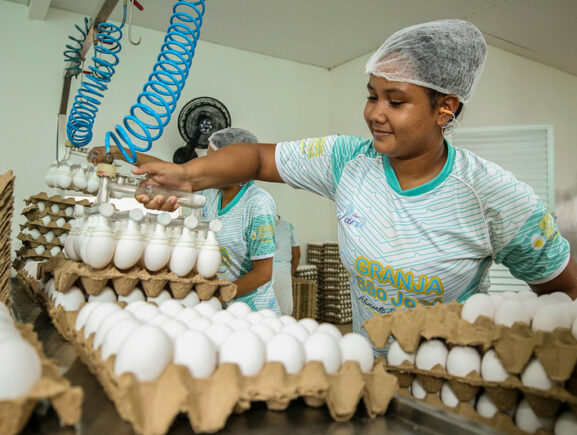 Produção de ovos e de macaxeira é impulsionada com a pavimentação de ramais em Manacapuru